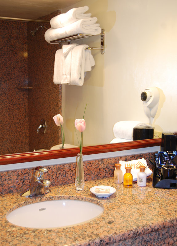 Palm Mountain Resort & Spa - Palm Springs, CA