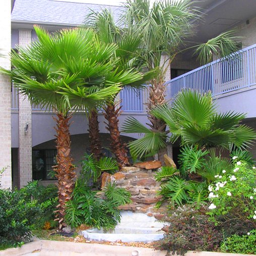 Scott Inn And Suites Houston