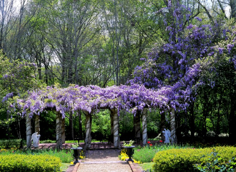 Monmouth Plantation - Natchez, MS