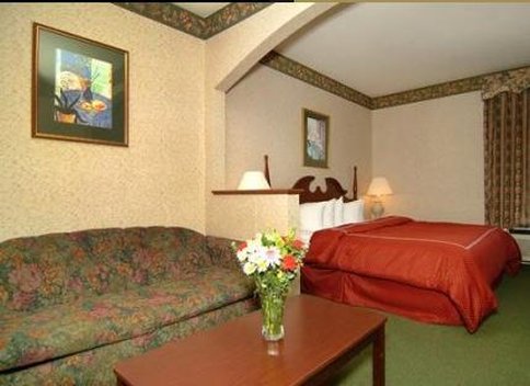Comfort Suites - Maumelle, AR
