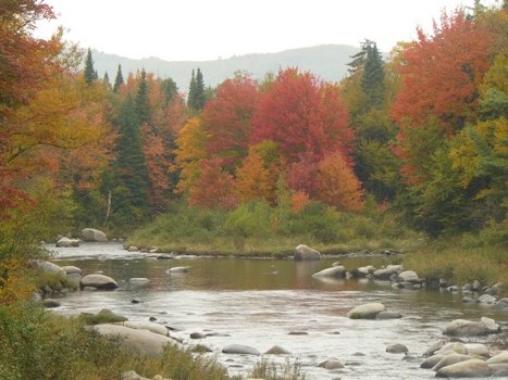Hillwinds Lodge - Franconia, NH