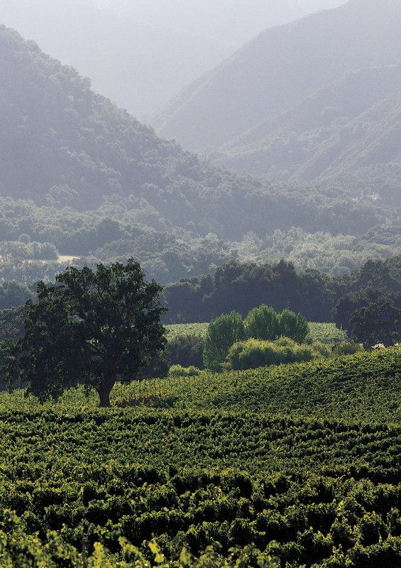 Bernardus Lodge & Spa - Carmel Valley, CA