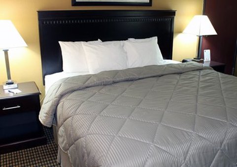 Comfort Inn - Monroe, MI