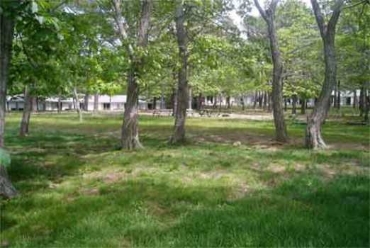 Blue Dolphin Inn - North Eastham, MA