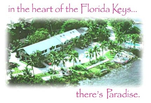 Lime Tree Bay Resort - Long Key, FL