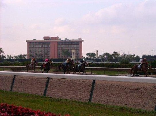 EL PALACIO SPORTS HOTEL - Opa Locka, FL