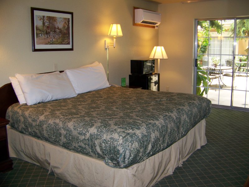 Best Western Plus - Schertz, TX