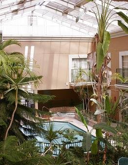 Best Western Plus - Schertz, TX