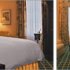 The Colony Hotel