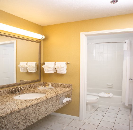 Ivy Court Inn & Suites - South Bend, IN