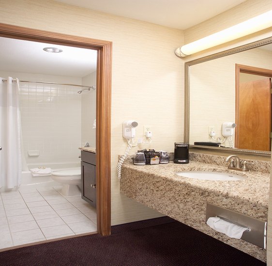 Ivy Court Inn & Suites - South Bend, IN