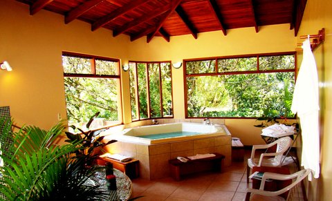 hotel el monteverde sapo dorado establo