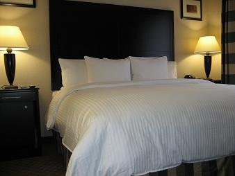 Hotel Le Jolie - Brooklyn, NY