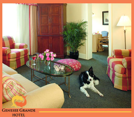 GENESEE GRANDE HOTEL - Syracuse, NY