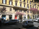 Hotel Florida