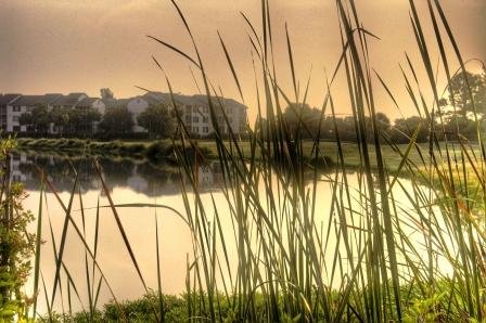 Sea Palms Resort and Conference Center - Saint Simons Island, GA