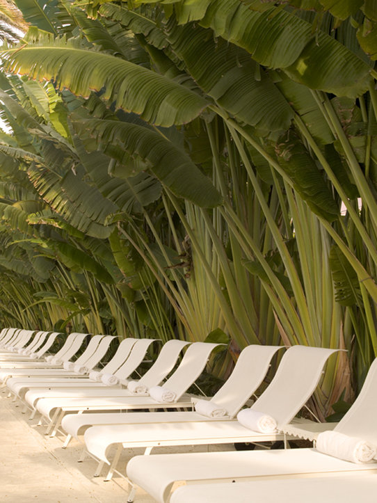 Richmond Hotel - Miami Beach, FL