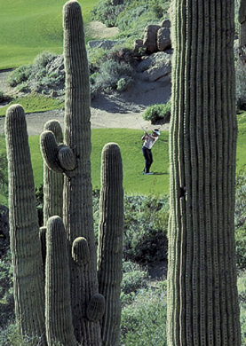 Gainey Suites Hotel - Scottsdale, AZ