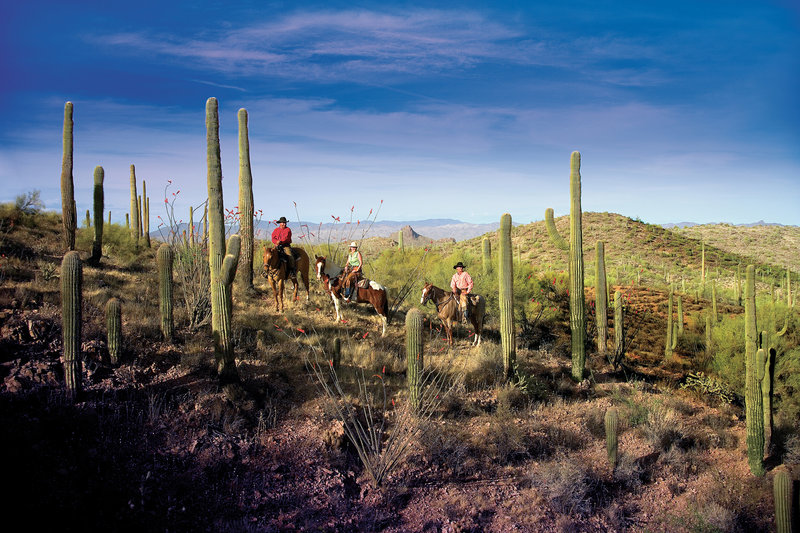 Rancho De Los Caballeros - Wickenburg, AZ