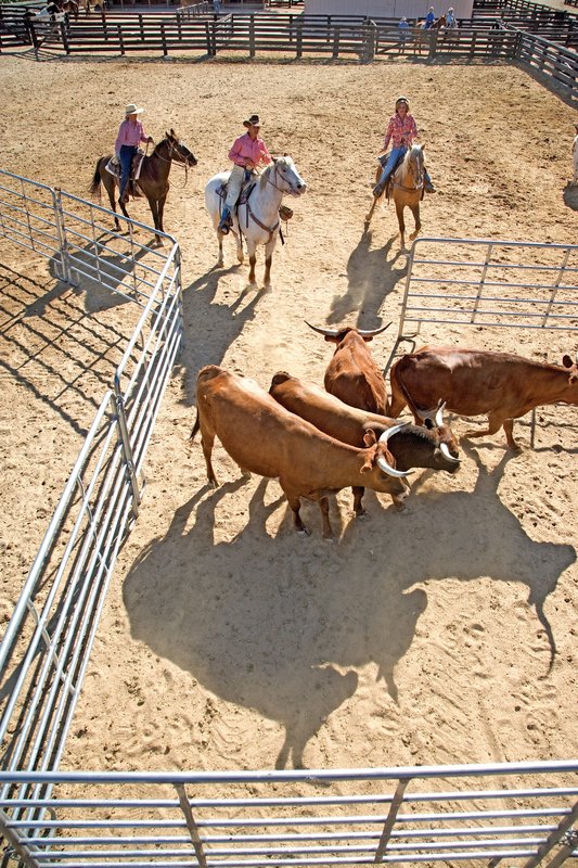 Rancho De Los Caballeros - Wickenburg, AZ