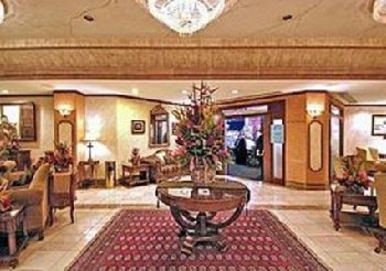 Hotel Amon Plaza - Lobby