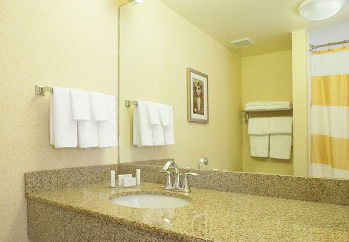 Holiday Inn Express & Suites ATLANTA EAST - LITHONIA - Dunwoody, GA