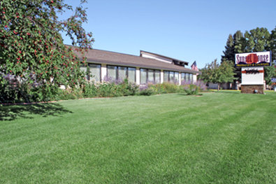 BEST WESTERN-SUNSET MOTOR INN - Cody, WY