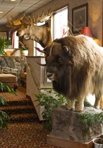 Hotel Seward - Seward, AK