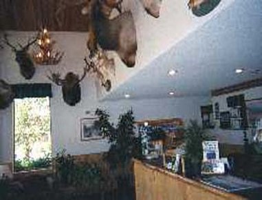 Super 8 Glacier Park/Columbia Falls - Columbia Falls, MT