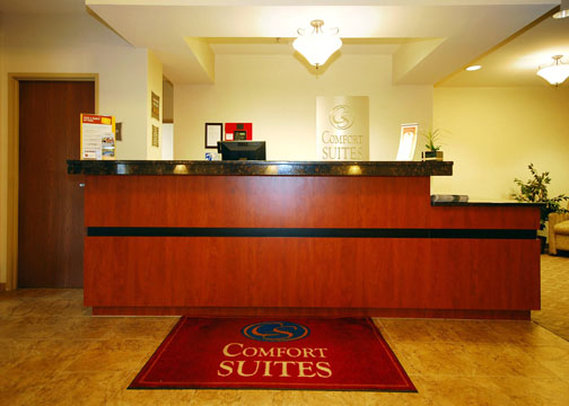 Comfort Suites - Grayslake, IL