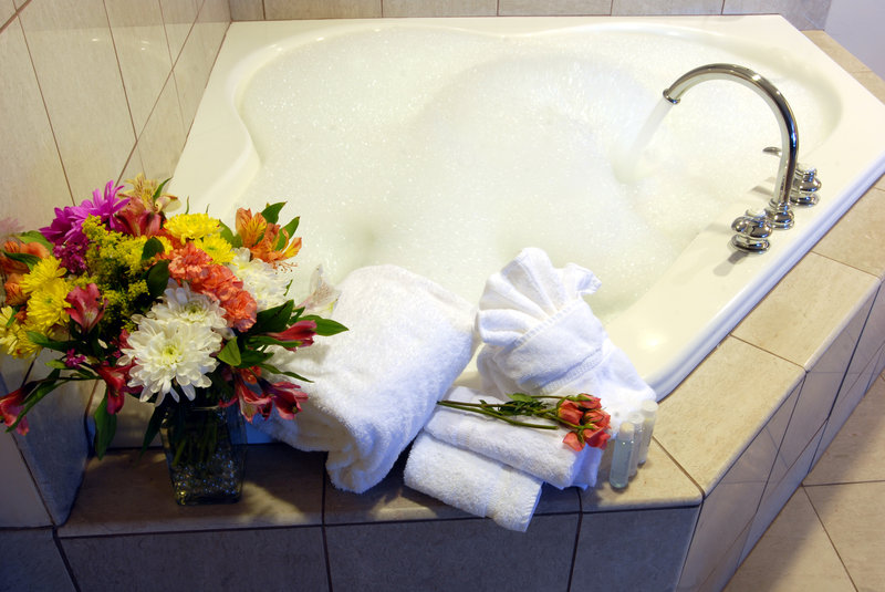 Holiday Inn Express Hotel & Suites LATHAM