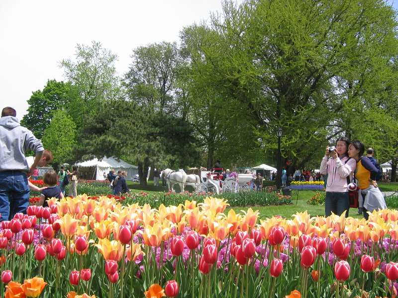 Holiday Inn Express & Suites LATHAM - Albany, NY