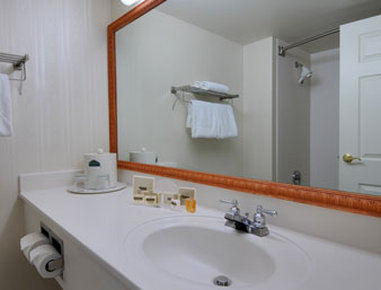 Hampton Inn Detroit/Auburn Hills South - Auburn Hills, MI