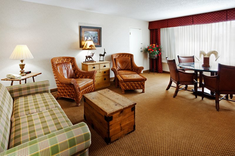 Holiday Inn ASHEVILLE-BILTMORE EAST - Asheville, NC