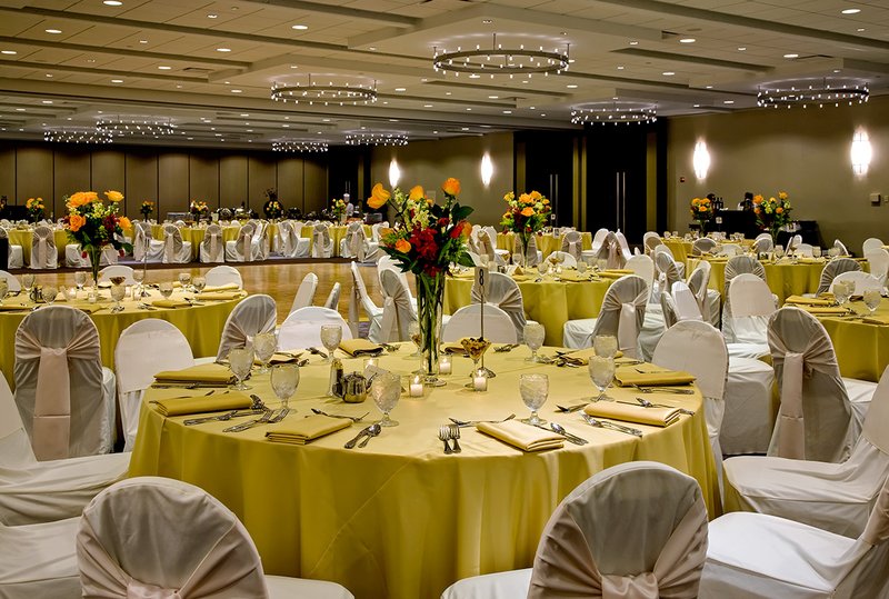 Crowne Plaza CHICAGO OHARE HOTEL & CONF CTR - Rosemont, IL