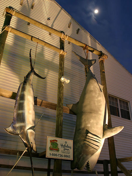 Holiday Inn Hotel & Suites CLEARWATER BEACH S-HARBOURSIDE - Indian Rocks Beach, FL