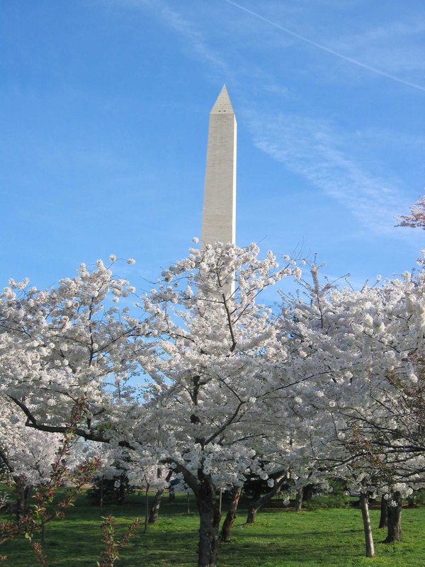 Holiday Inn WASHINGTON D.C.-GREENBELT MD - Greenbelt, MD