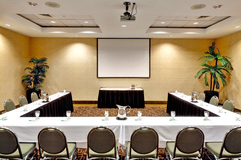 Holiday Inn SOUTHAVEN CENTRAL - MEMPHIS - Walls, MS