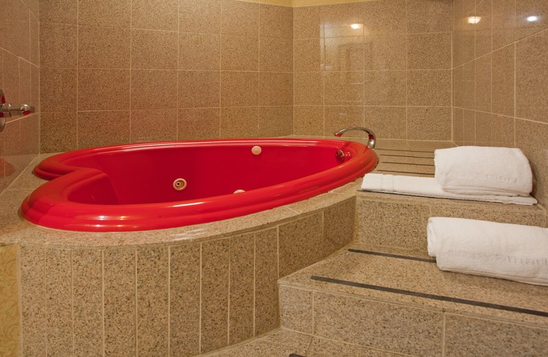 Holiday Inn Express-Fenton - Fenton, MO