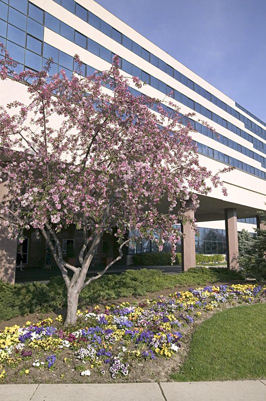 Crowne Plaza ST. LOUIS AIRPORT - Bridgeton, MO