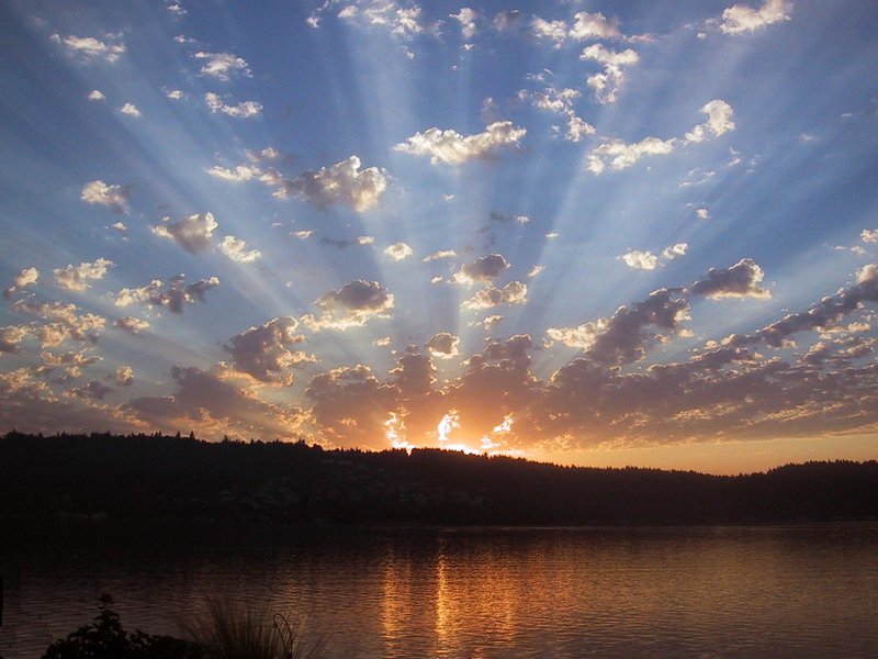 Holiday Inn - Issaquah, WA