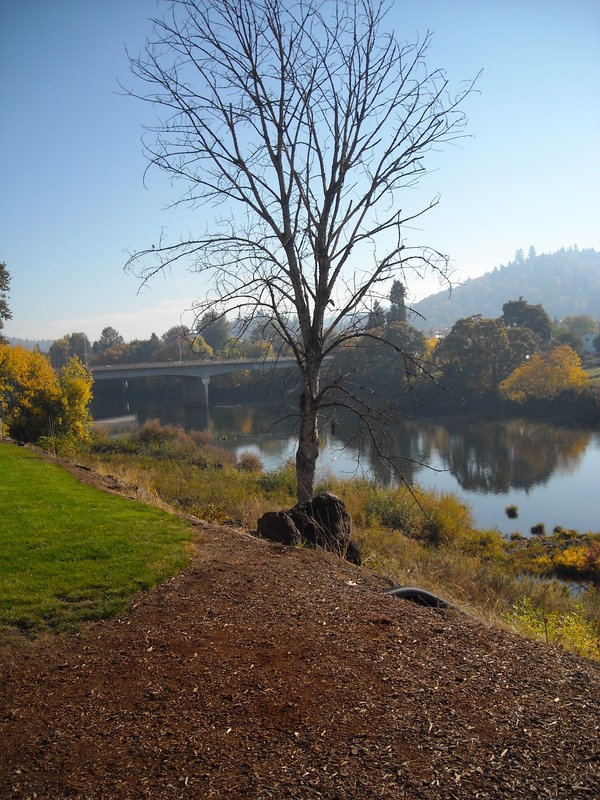 Holiday Inn Express ROSEBURG - Roseburg, OR