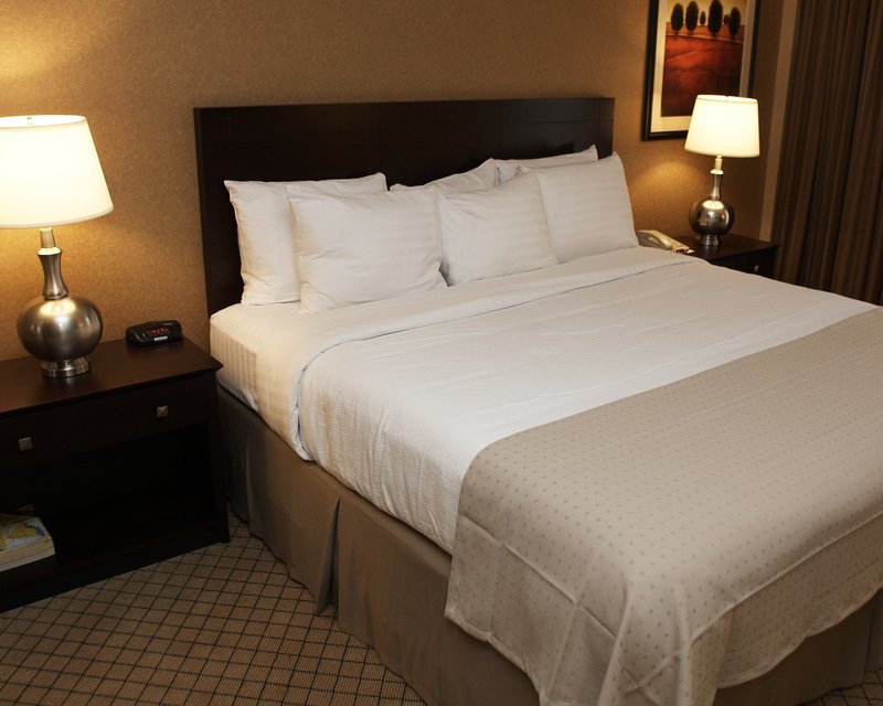 Holiday Inn Orangeburg-Rockland/Bergen Co - Thiells, NY