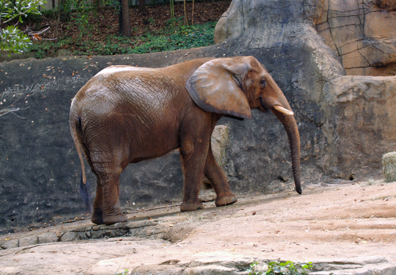 Crowne Plaza GREENVILLE-I-385-ROPER MTN RD - Greenville, SC