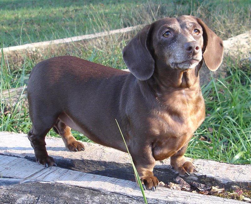 Staybridge Suites GREENVILLE I-85 WOODRUFF ROAD - Greenville, SC