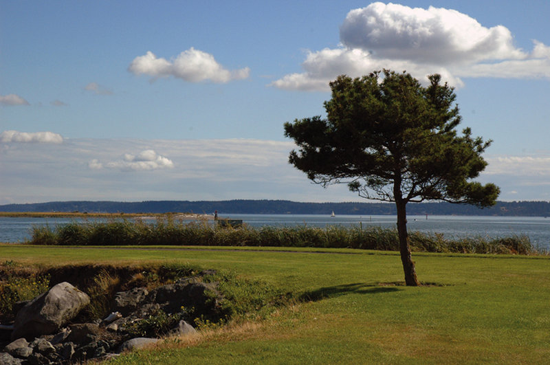 Candlewood Suites-Oak Harbor - Camano Island, WA