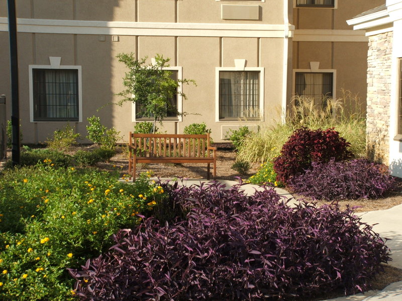 Staybridge Suites JACKSON - Ridgeland, MS