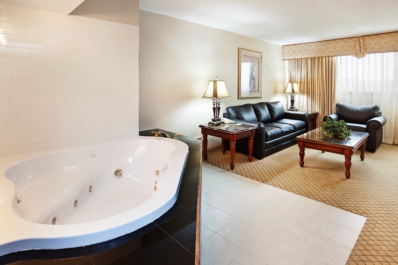 Holiday Inn JOHNSON CITY - Hartford, TN