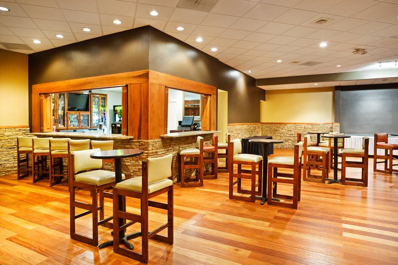 Holiday Inn JOHNSON CITY - Hartford, TN