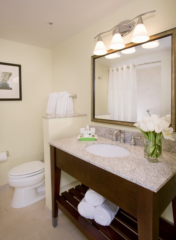 Holiday Inn in the Walt Disney World Resort - Orlando, FL